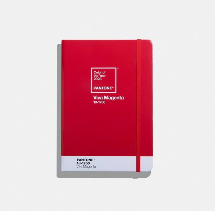 Viva Magenta, Color of The Year 2023 oleh Pantone. 