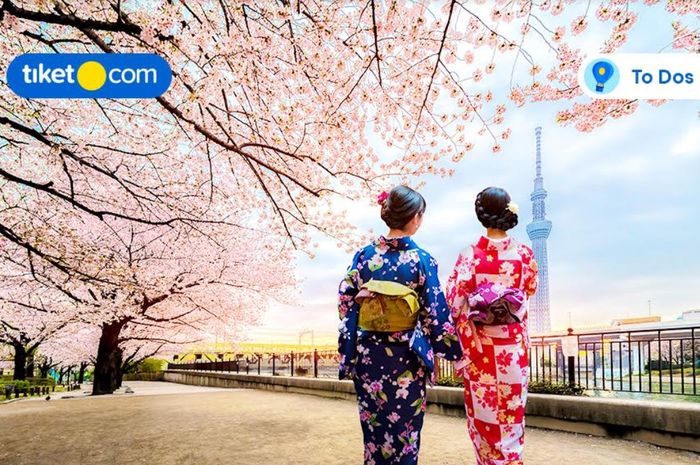 4 Tips Liburan Ke Jepang Jelang Musim Bunga Sakura, Pesan Tiket Pesawat ...